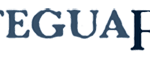 Lifeguard-logo